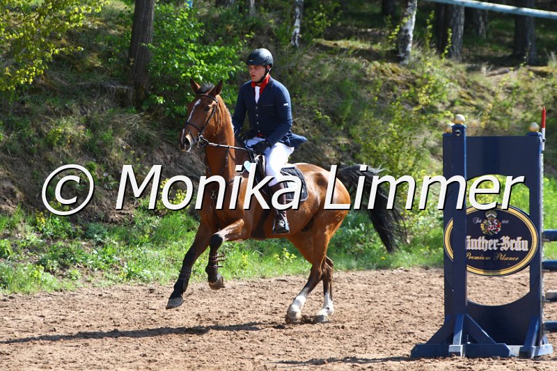 004M1635_Luitpold_Springpferde A xx.JPG